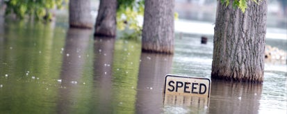 flooded trees with speed limit sign submerged