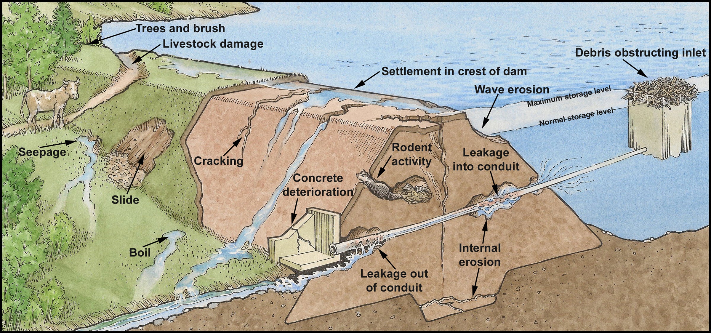 diagram of a flawed dam with labels showing what is flawed