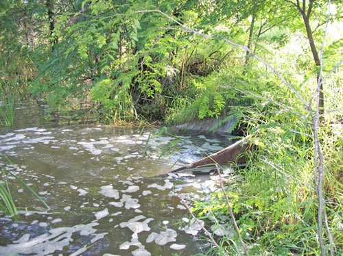 trees and other debri blocking outlet channel