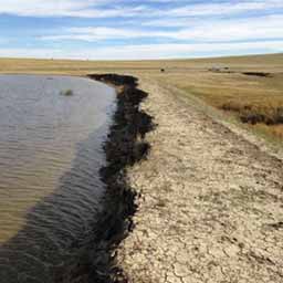 Image of a dam beside a field