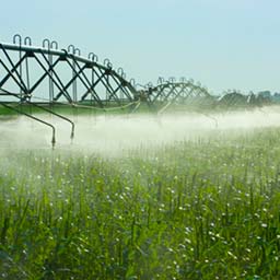 Image of an irrigation pivot well system