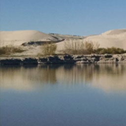 sand dunes with body of water